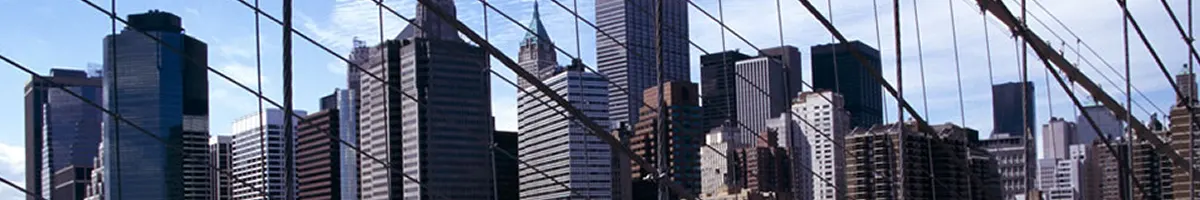Banner image